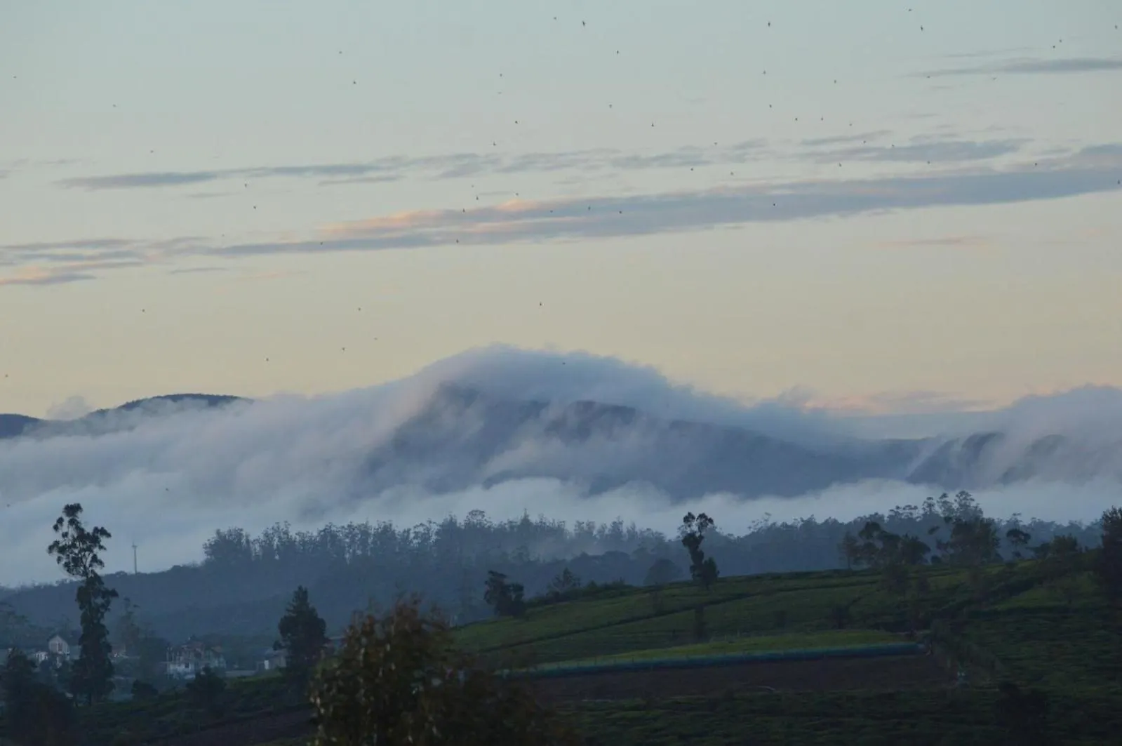 Lovers Leap Serenity Nuwara Eliya Gasthuis